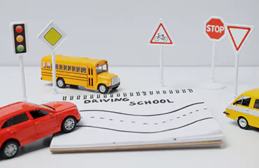 SBDI BASIC & Updated Training